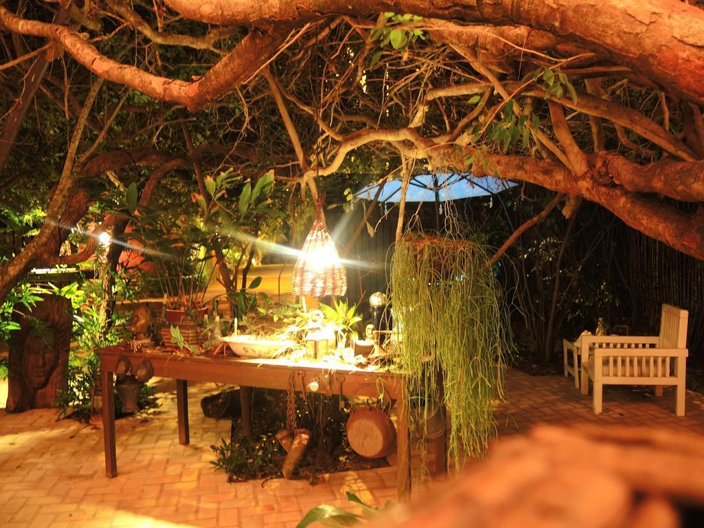 Terra Dos Goitis - Chales - Pipa Praia de Pipa 外观 照片